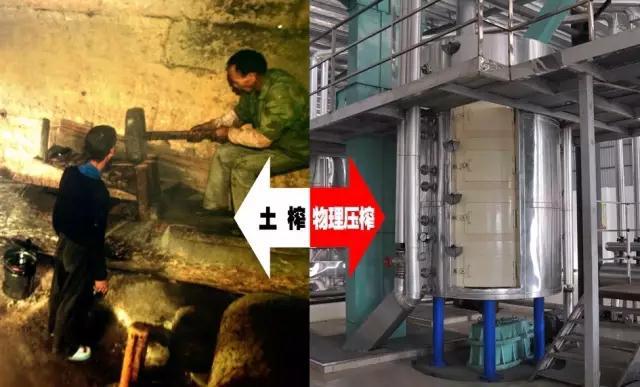 油茶知识02.jpg